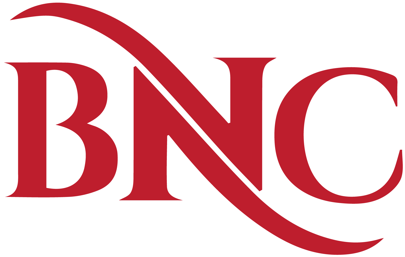 Ber-Nur Consultancy logo